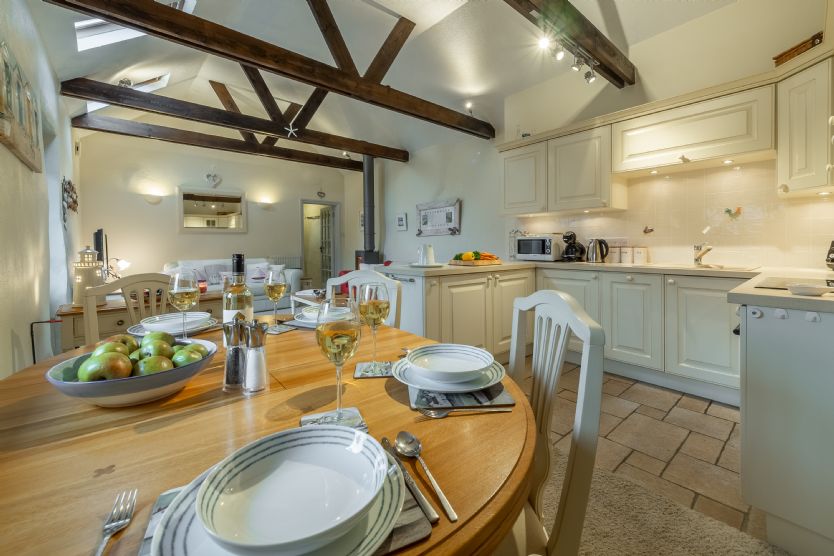 Click here for more about Little Gull