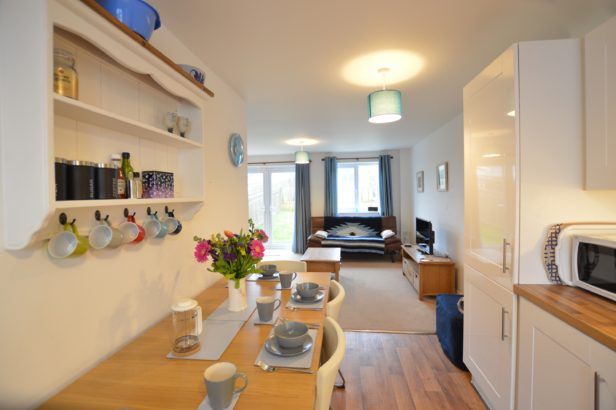 Click here for more about Barnacles (P)