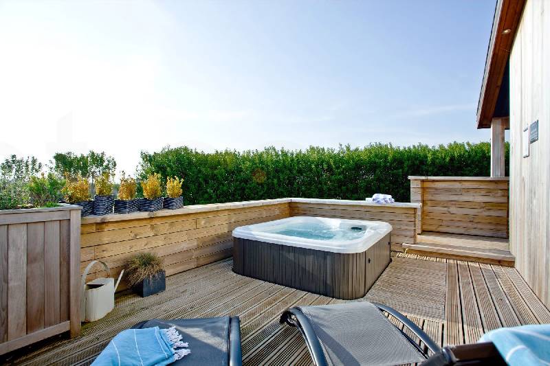 Click here for more about Pomegranate, Strawberryfield Park