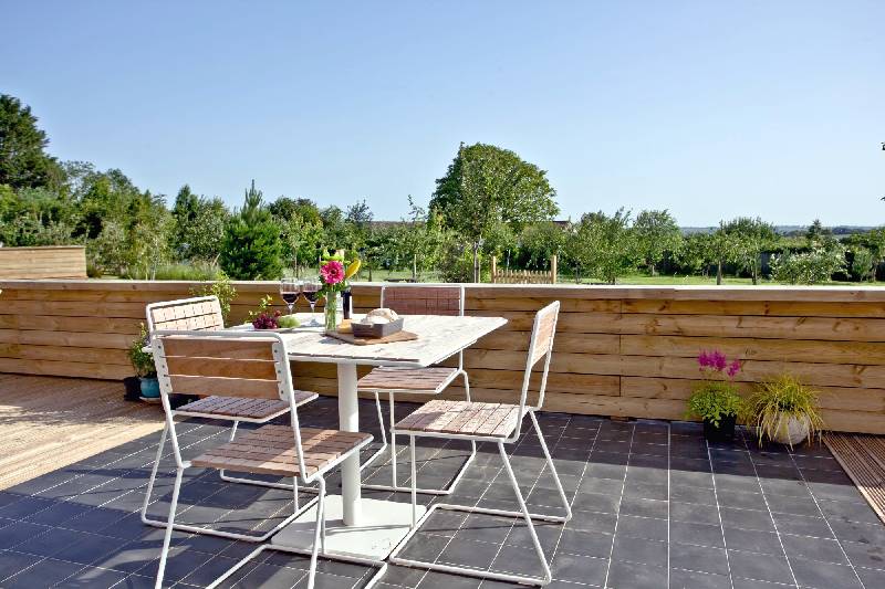 Click here for more about Cheddar Pink, Strawberryfield Park