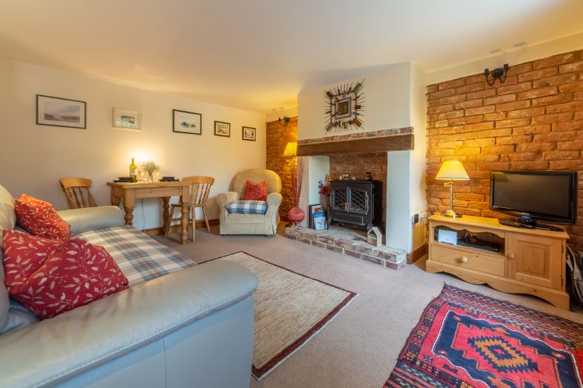 Click here for more about Hollyhocks