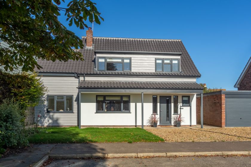 Click here for more about Seashells (2)