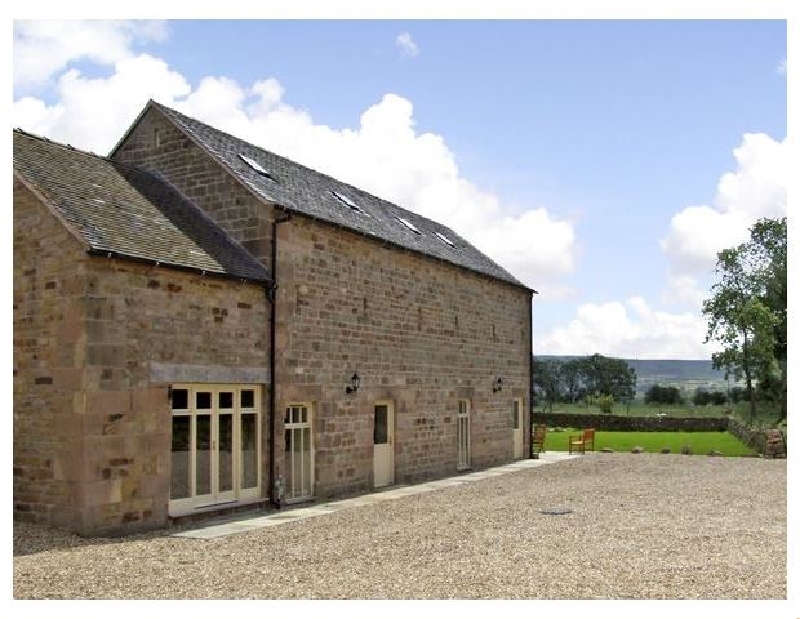 Click here for more about Goldcrest