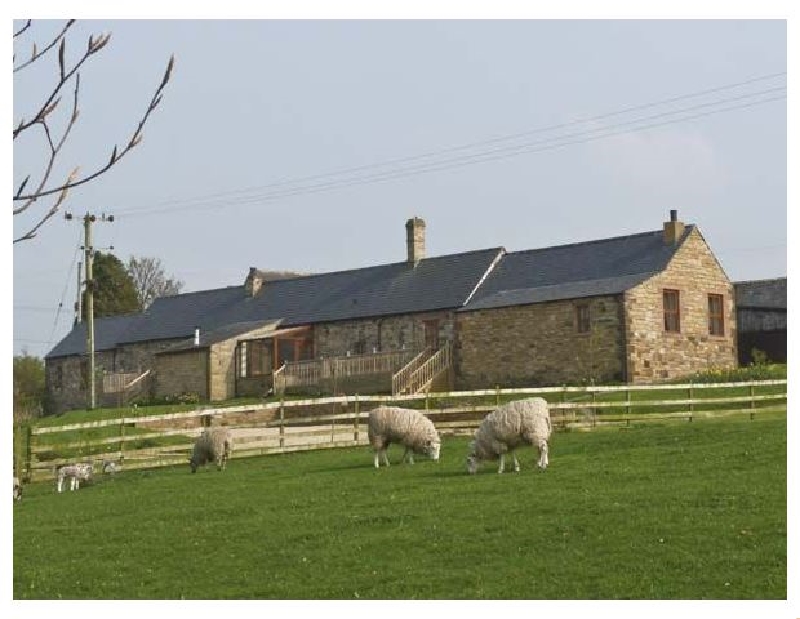 Click here for more about The Dairy
