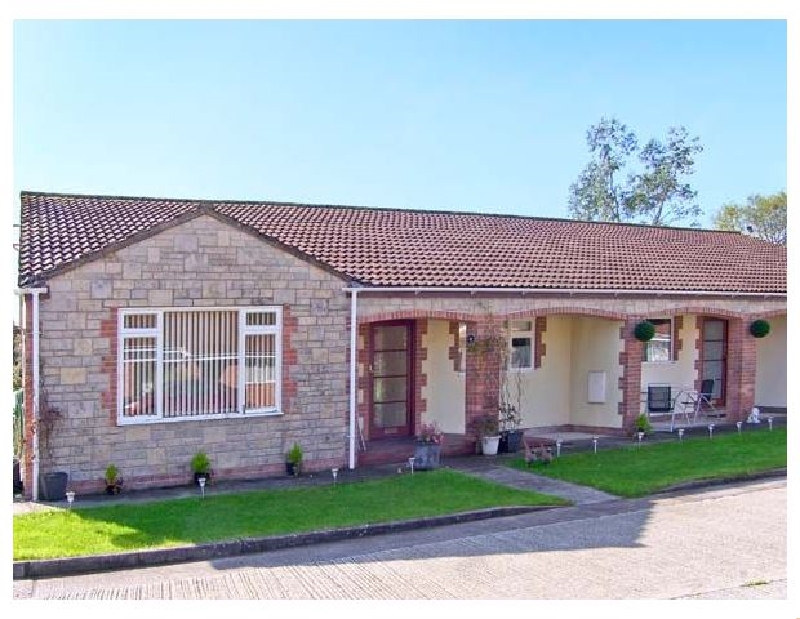 Click here for more about Russet