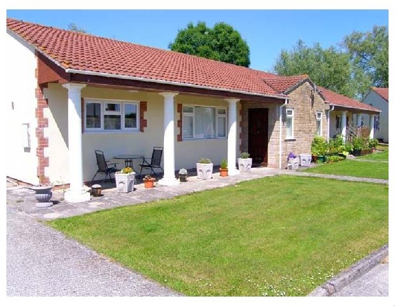 Click here for more about Bramleys