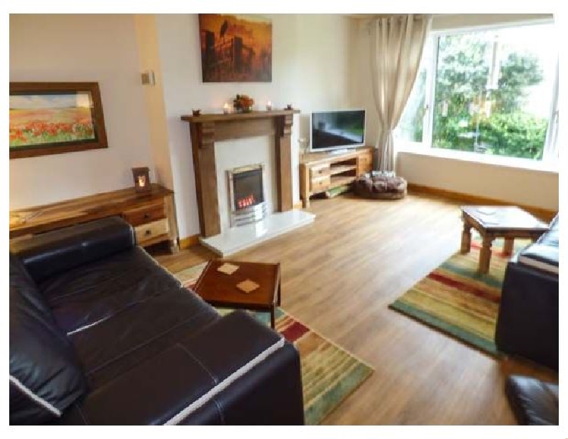 Click here for more about Dunlin