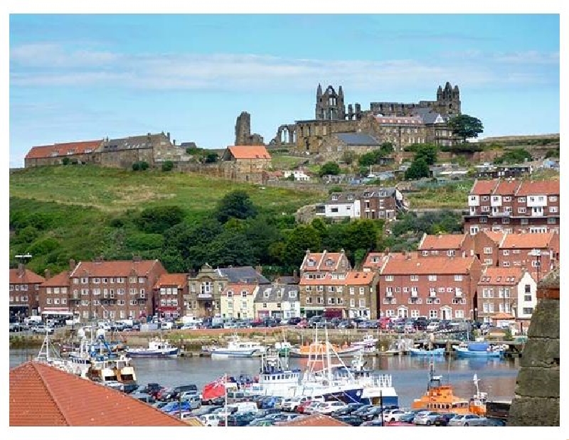 Click here for more about High Tide