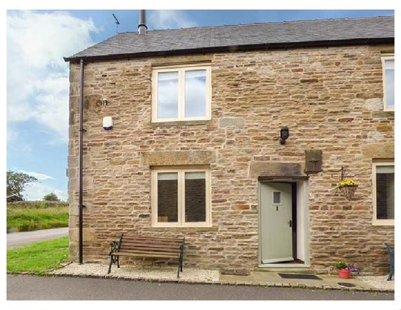 Click here for more about The Rumblings 1