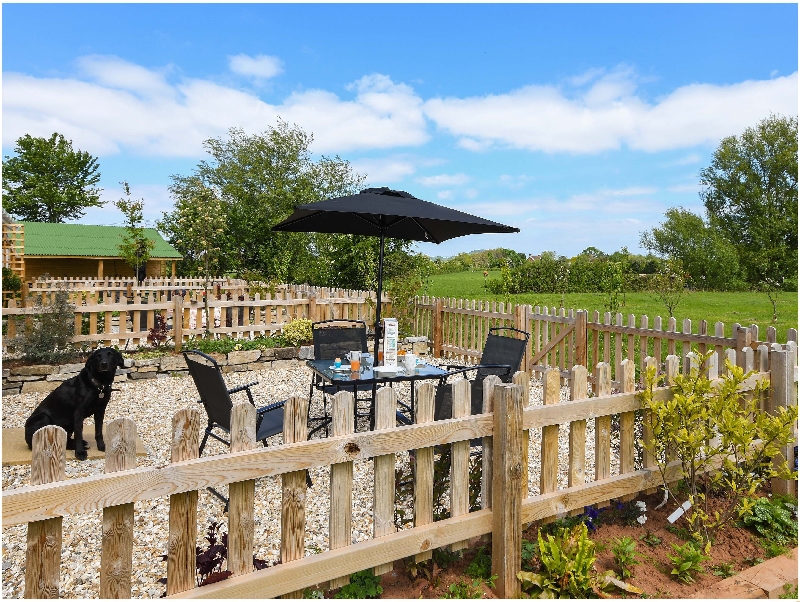 Click here for more about Mallard