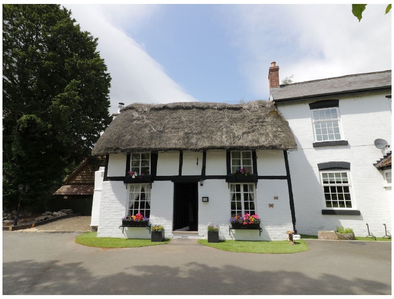 Click here for more about Eightlands