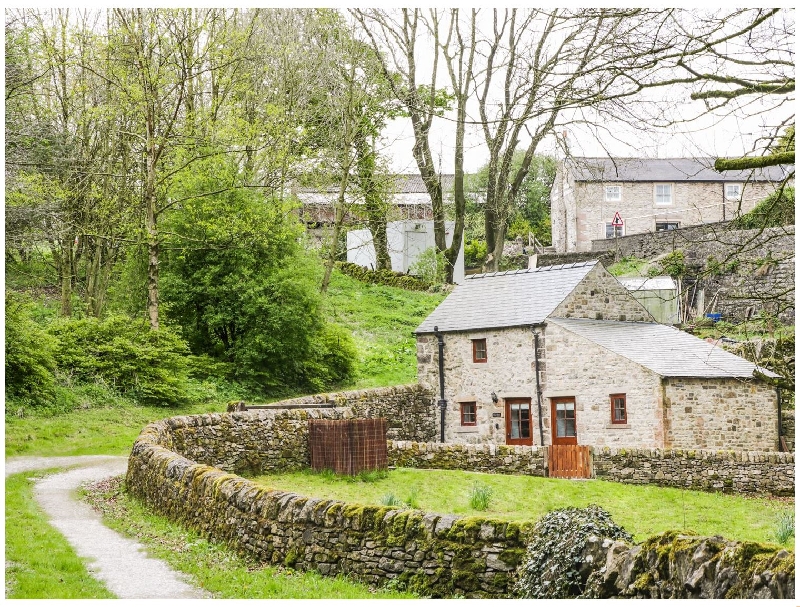 Click here for more about The Dell