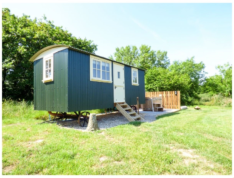 Click here for more about Willow