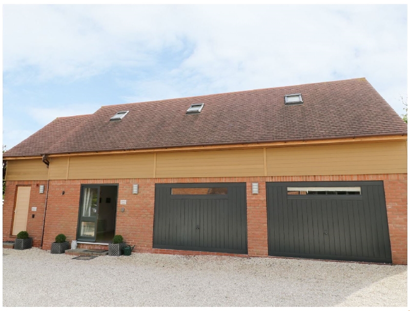 Click here for more about Owl's Hoot