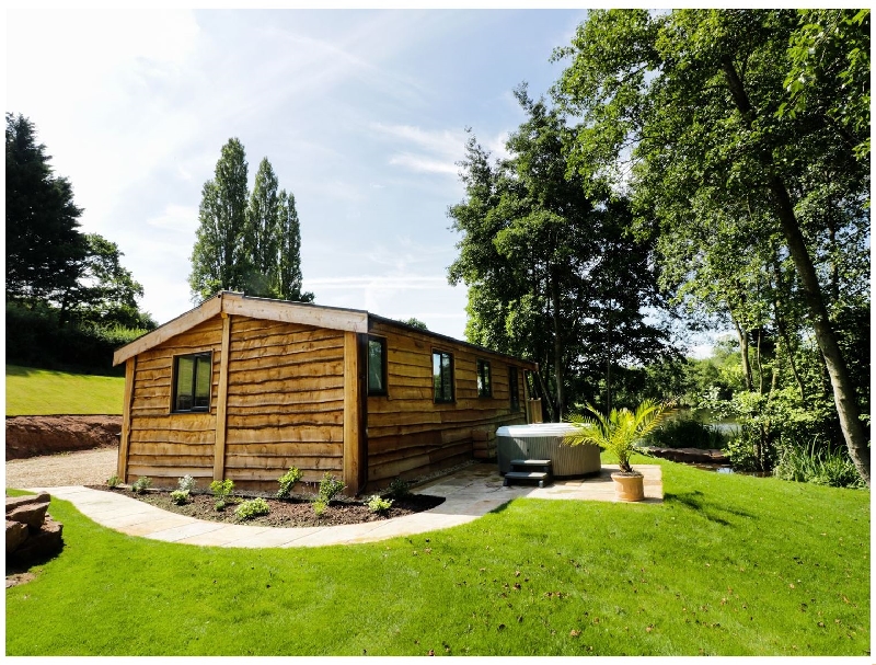 Click here for more about Kingfisher