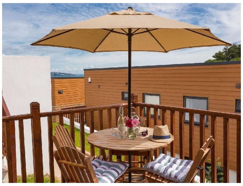 Click here for more about Egret