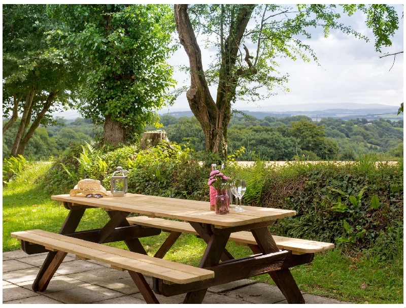 Click here for more about Dartmoor View
