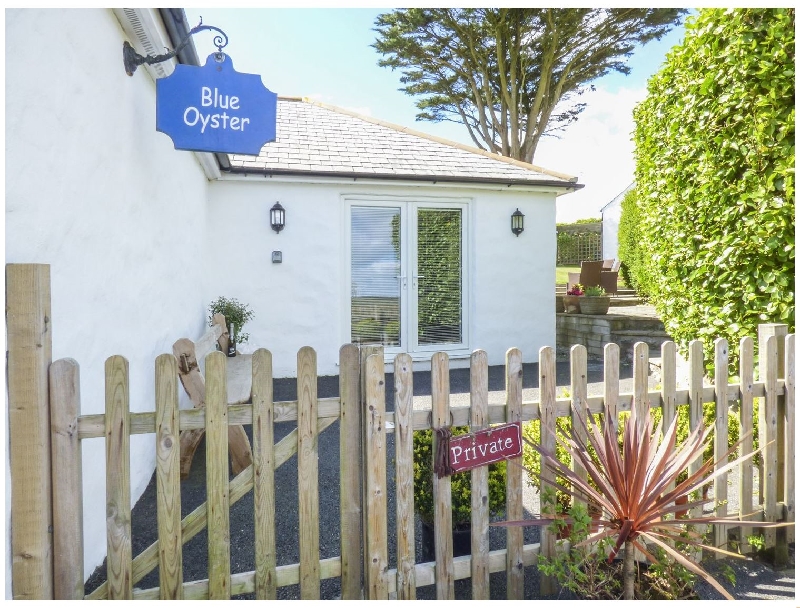 Click here for more about Blue Oyster