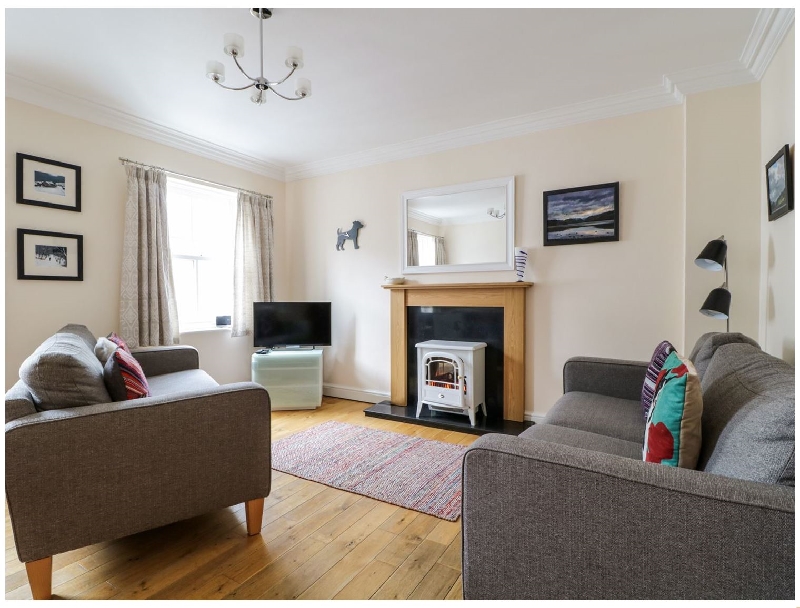 Click here for more about Siskin