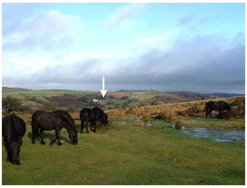 Click here for more about Hay Tor Cottage