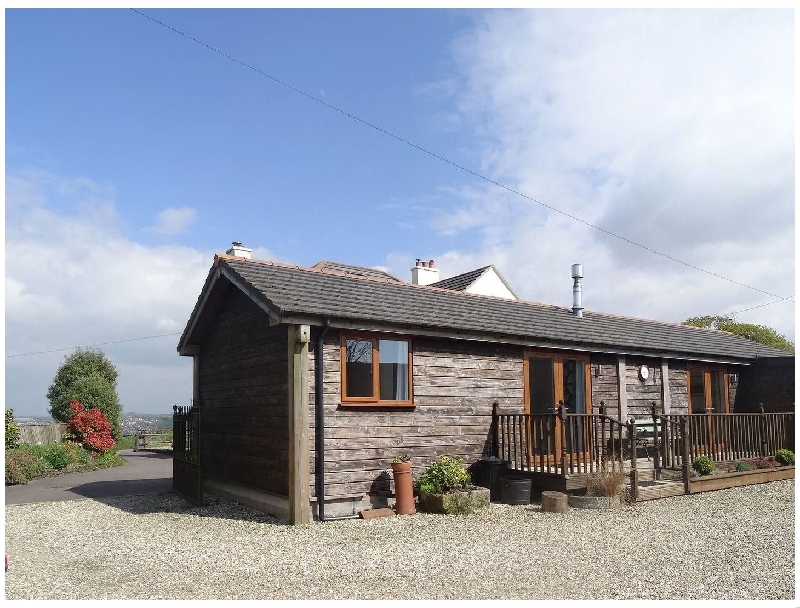 Click here for more about Lilys Pad