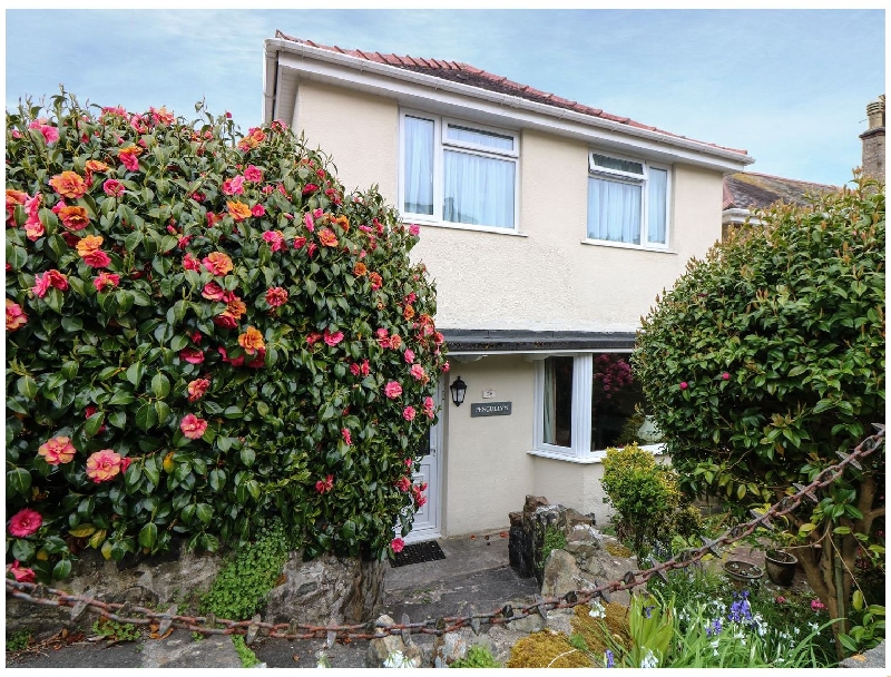 Click here for more about Pengullyn