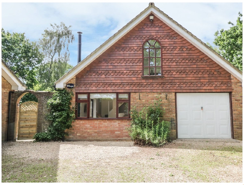 Click here for more about Squirrels Drey