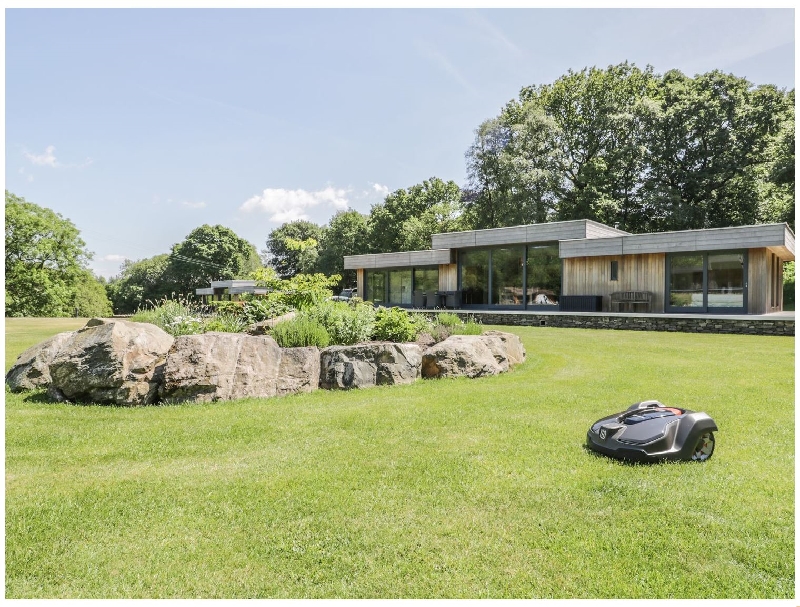 Click here for more about Tewets