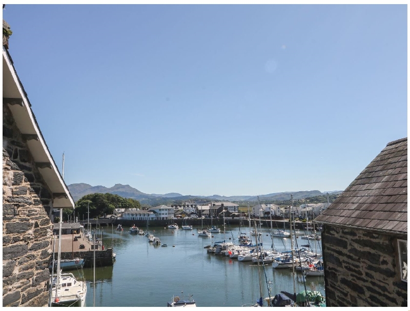 Click here for more about Cnicht View
