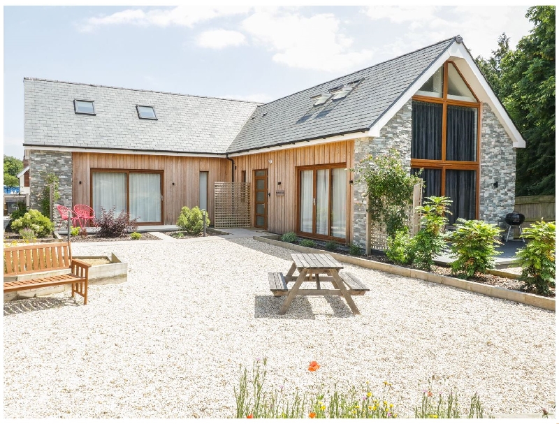 Click here for more about Shepherd Oak