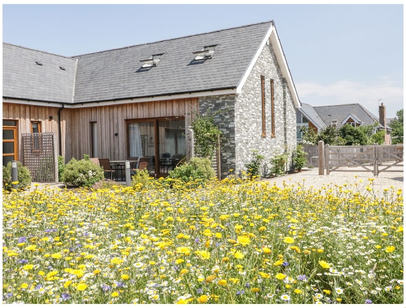 Click here for more about Everdene