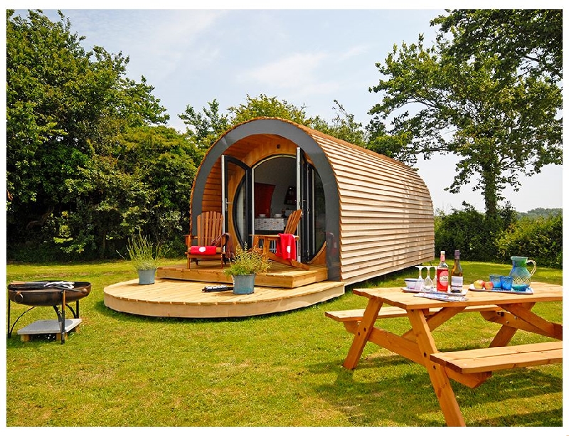 Click here for more about Fern