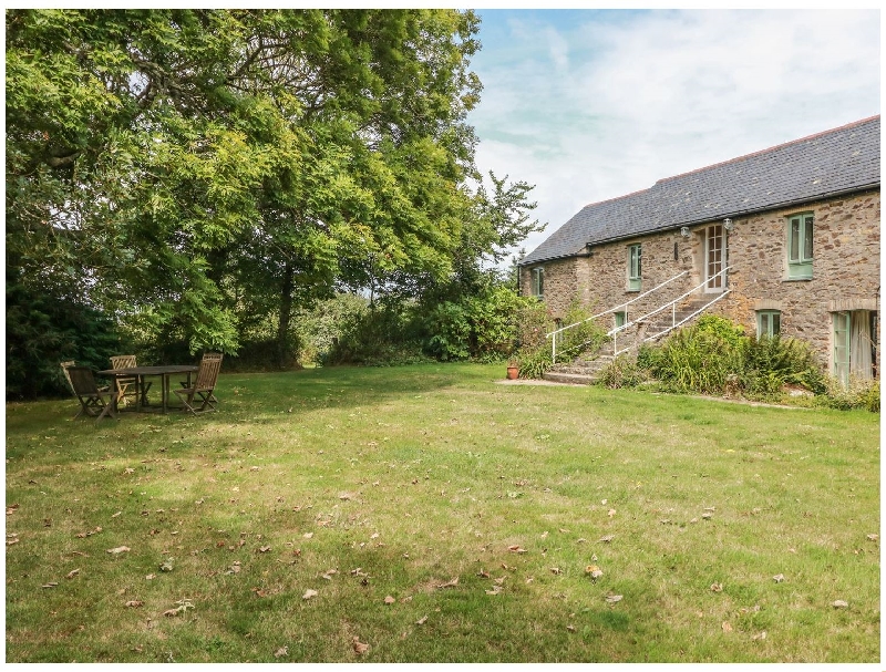 Click here for more about Beech