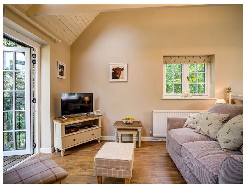 Click here for more about Lime Tree