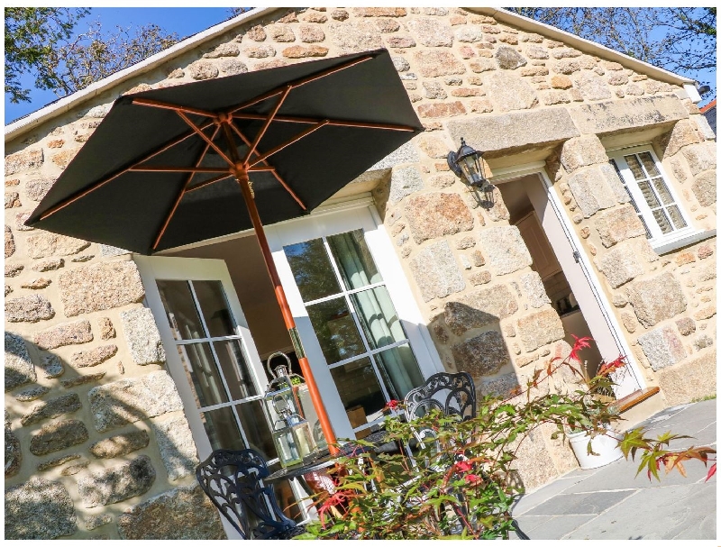 Click here for more about Camellia