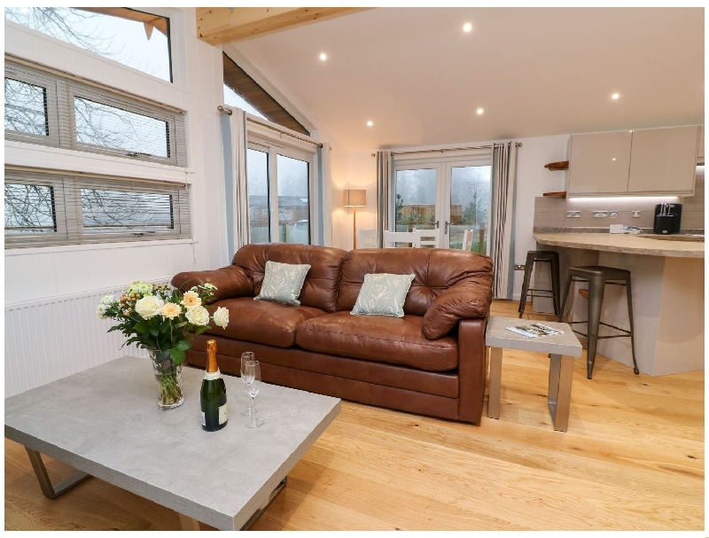 Click here for more about 9 Faraway Fields