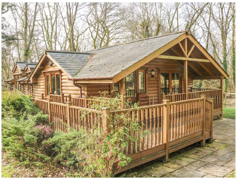 Click here for more about Lilicomb