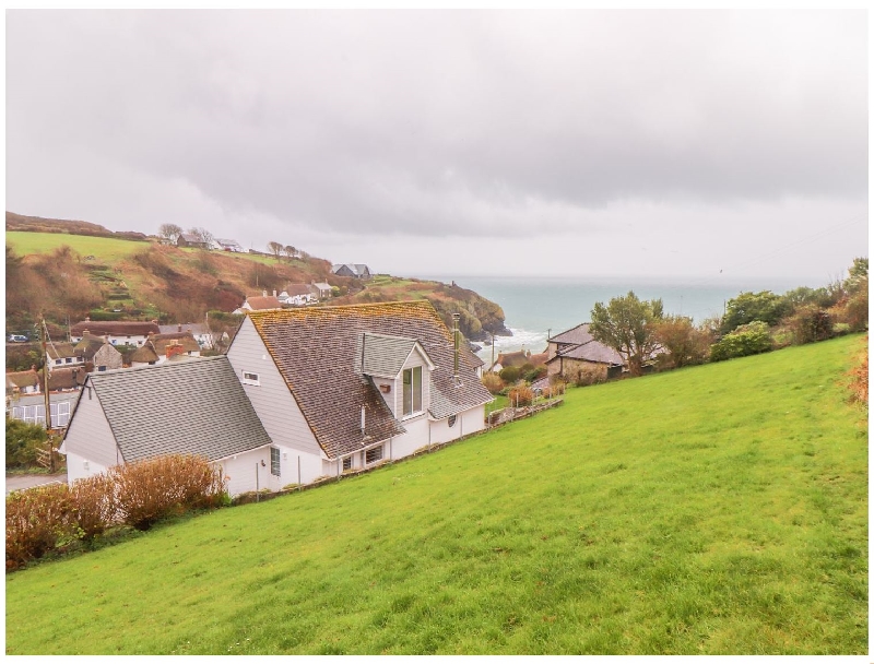Click here for more about Spinnaker- Cadgwith