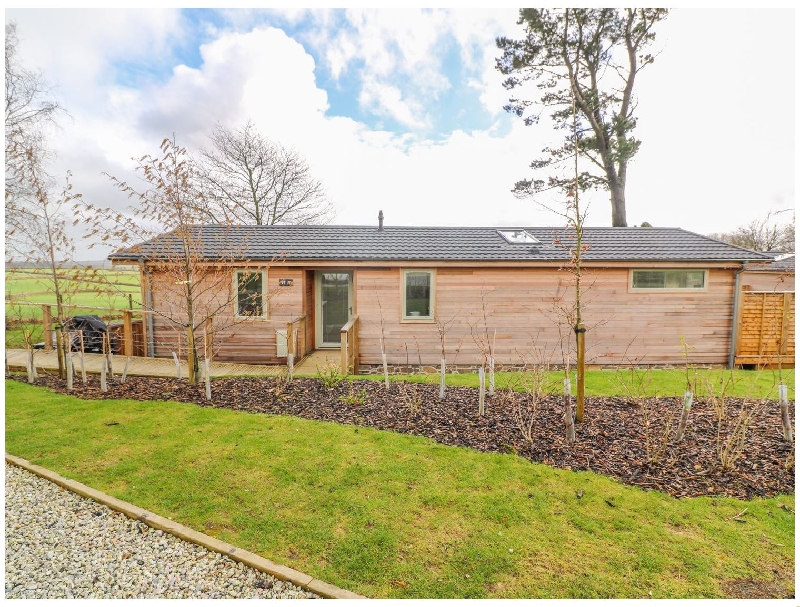 Click here for more about 10 Faraway Fields