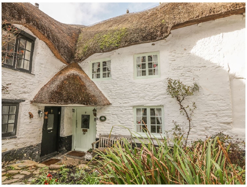 Click here for more about Sweet Tumbledown