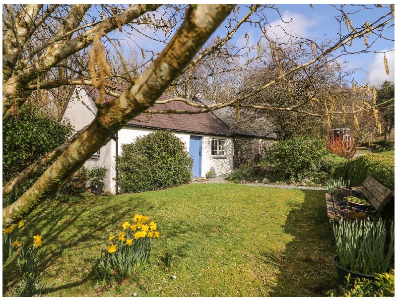Welsh holiday cottages - Hawthorn Cottage