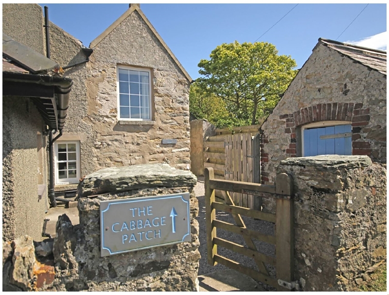 Welsh holiday cottages - Cabbage Patch