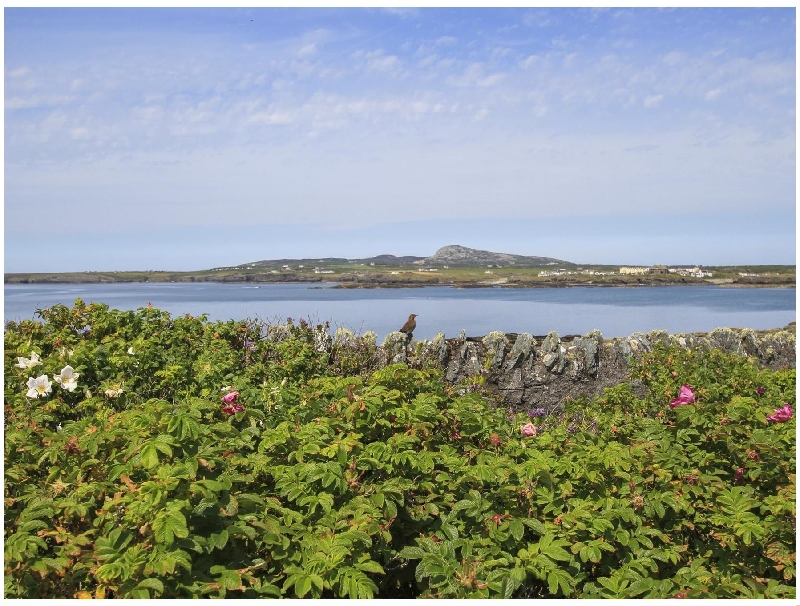 Welsh holiday cottages - Ty Bychan