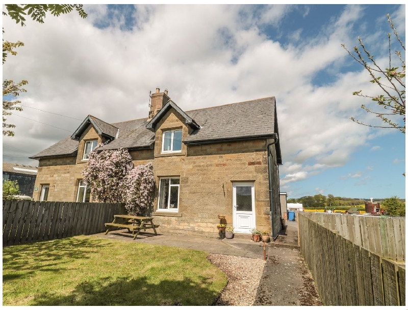 Click here for more about Appletree