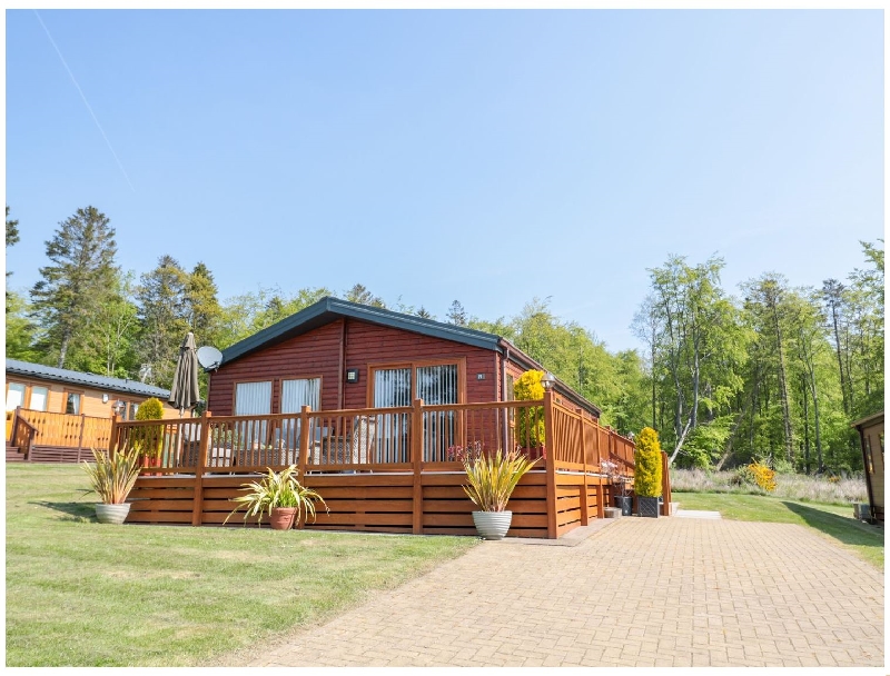 Click here for more about Cedar Lodge