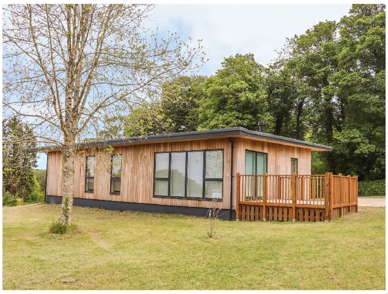 Click here for more about Ash