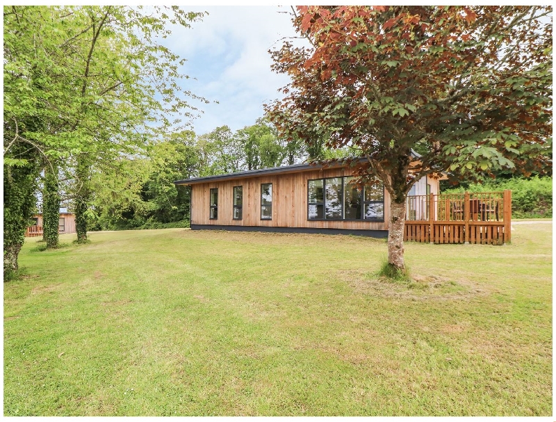 Click here for more about Beech