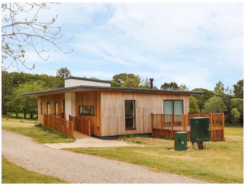 Click here for more about Oak