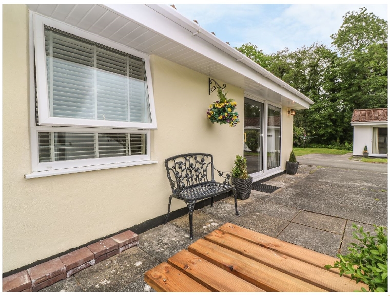 Click here for more about 34 Squirrels Leap