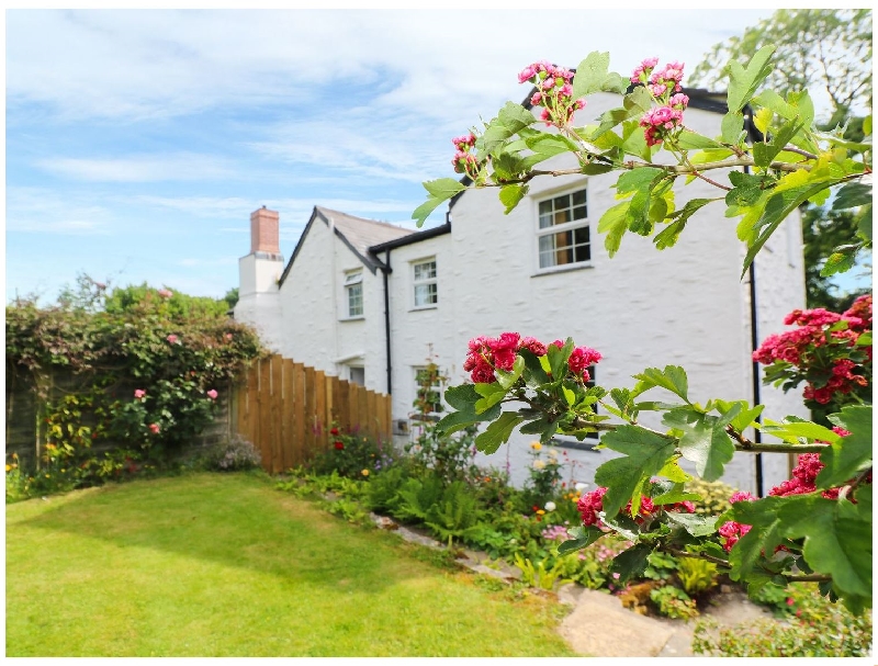 Click here for more about Pengelly